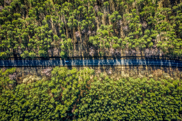 Flying above wonderful forest with multicolored trees in Europe