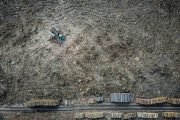 Flying above shocking deforestation, destroyed forest in Poland