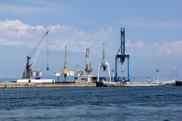 Fototapeta premium grue bleue