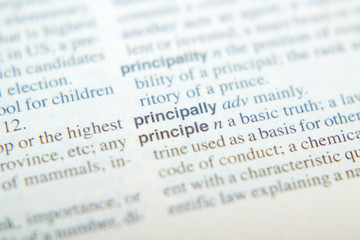The explanation of the word Principle in dictionary	