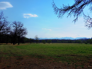 北海道十勝地方広大な畑