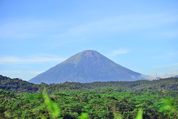 The natural scenery of Mount Sindoro with green trees underneath