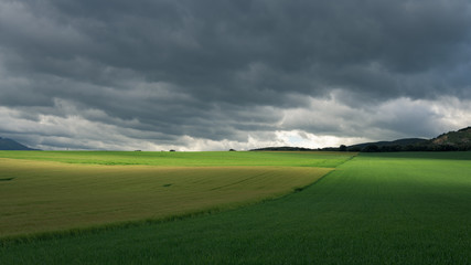 green field and blue sky