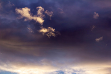 Naklejka na ściany i meble cloud in the form of an animal on a background of dark evening purple sky