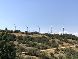 wind turbines in the field