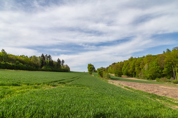 Odenwald landscape nature 