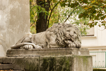 Fototapeta na wymiar Statue of Lion in Lviv