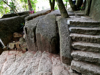 old stone stairs  ingrown trees tropics