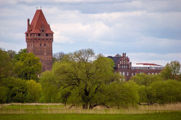 Elbauen blick zum Burgberg auf den Aussichtsturm Kapitelturm in Tangermünde Altmark , Sachsen...