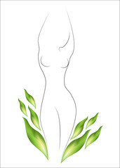 Silhouette of a beautiful lady. The girl is slim and elegant. Near it there are green leaves. Suitable for cosmetics advertising. Vector illustration