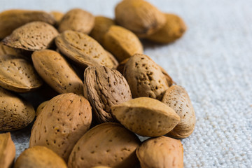 Close up almond nut in shell. Detail of a bunch of almonds.