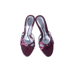 shoe or woman shoe on a background.
