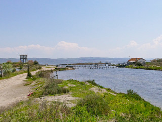 Fototapeta na wymiar Albania, Divjake-Karavasta National Park, Lagoon of Karavasta