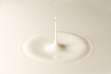 ミルクの飛沫と波紋