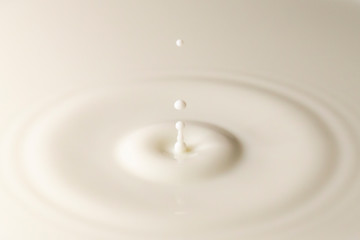 ミルクの飛沫と波紋