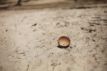 Part of a coconut that lies on the sand on the beach in Goa
