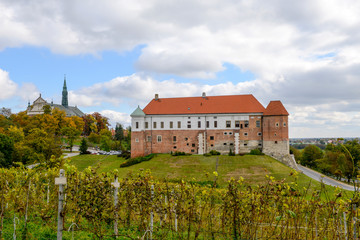 Fototapeta premium Sandomierz