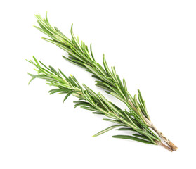 Fototapeta premium Fresh green rosemary twigs on white background, top view