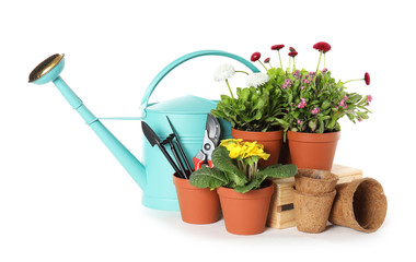 Potted blooming flowers and gardening equipment on white background