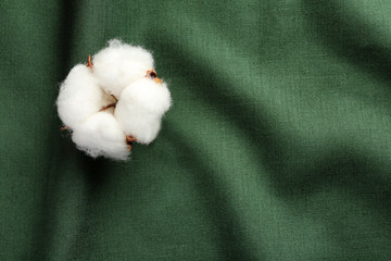 Fluffy cotton flower on fabric, top view. Space for text
