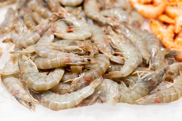Big fresh natural shrimps on ice. Close up of traditional premium seafood