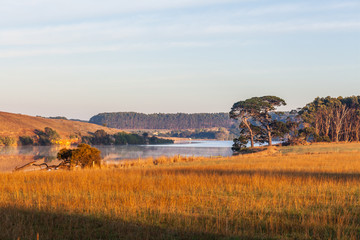 Fototapeta na wymiar Hopkins River passing through grasslands in early morning. Warrnambool, Australia