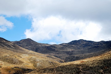 Páramo de montañas en los andes con frailejones 