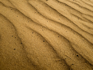 Barchan sands. Background of sand in the desert.