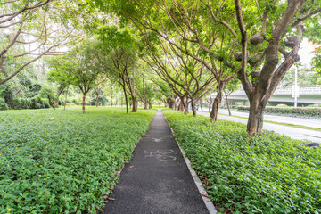 Fototapeta na wymiar Shenzhen Nanshan Greenery Walkway