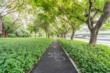 Shenzhen Nanshan Greenery Walkway
