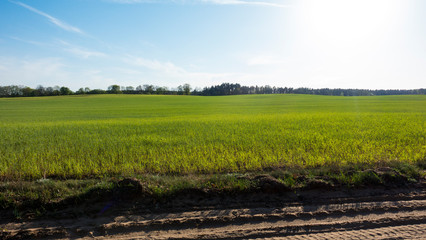 wiosna, pole, pola, lato, uprawy, uprawy rolne, wieś, wioska, prace rolne © Dariusz