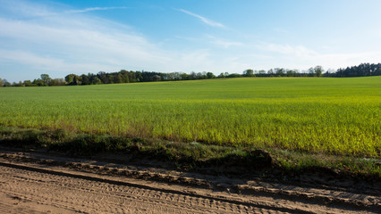 wiosna, pole, pola, lato, uprawy, uprawy rolne, wieś, wioska, prace rolne © Dariusz