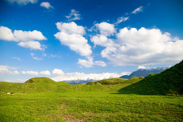 Fototapeta na wymiar Beautiful spring and summer landscape. Lush green hills, high snowy mountains. Spring blooming herbs. blooming trees. Blue sky and white clouds.