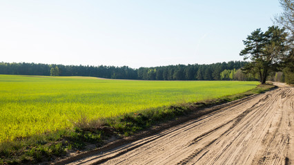 wiosna, pole, pola, lato, uprawy, uprawy rolne, wieś, wioska, prace rolne © Dariusz