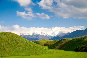 Naklejka premium Beautiful spring and summer landscape. Lush green hills, high mountains. Spring blooming herbs. Mountain wild tulips. Blue sky and white clouds. Kyrgyzstan Background for tourism.