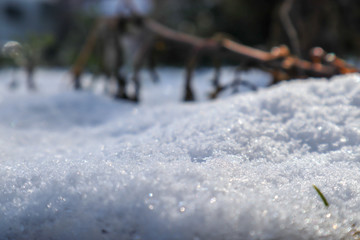 雪の足跡