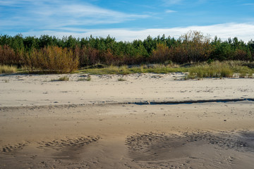 empty dunes by the sea side in early spring