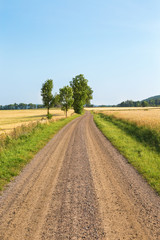 Fototapeta na wymiar Gravel road in countryside rural landscape