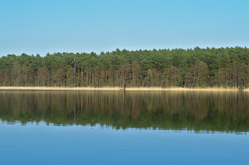 Shore of the lake on a sunny day, Kierskie Lake, Poznań, Poland	