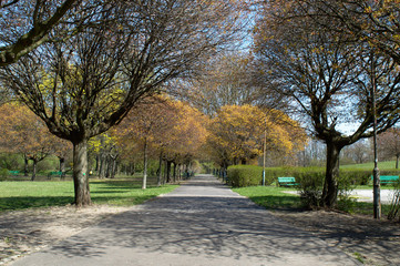 Fototapeta na wymiar Empty path in the park, early spring sunny day