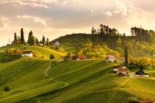Grape hills view from wine road in Austria. South styria vineyards landscape. Sulztal