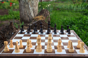 Chess board with chess pieces on tree trunk and green grass.