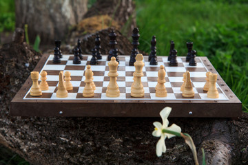 Chess board with chess pieces on tree trunk and green grass.