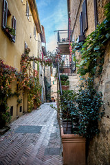 Fototapeta na wymiar Beautiful street of the ancient town of Pienza in Tuscany. Italy 