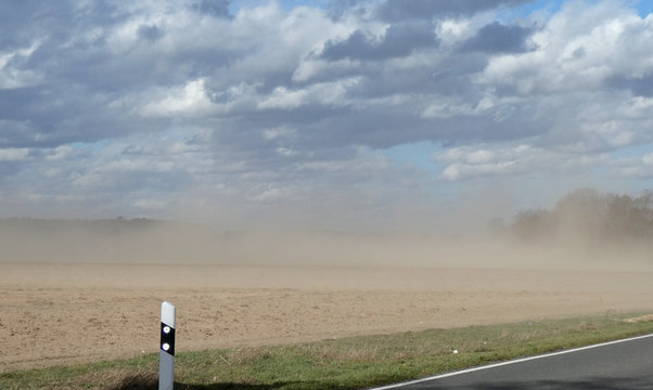Sandstrurm geht &uuml;ber die Strasse
