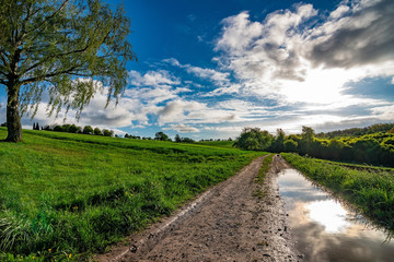 Fototapeta na wymiar The muddy path in the fields after the rain with a blue sky and some clouds in it