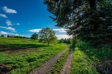 The path in the green fields with some trees and a blue sky with few clouds