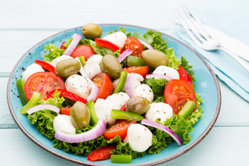 Vegetable salad with cheese mozzarella, tomatoes, basilikum and spice.