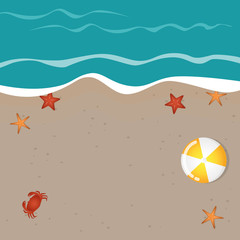 beach background summer holiday design with starfish crab and ball vector illustration EPS10