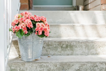 Bucket with fresh Begonia flowers by the front door 